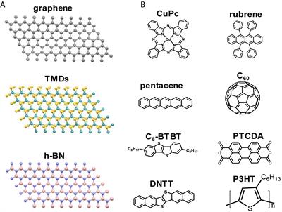 Organic Semiconductor Field-Effect Transistors Based on Organic-2D Heterostructures